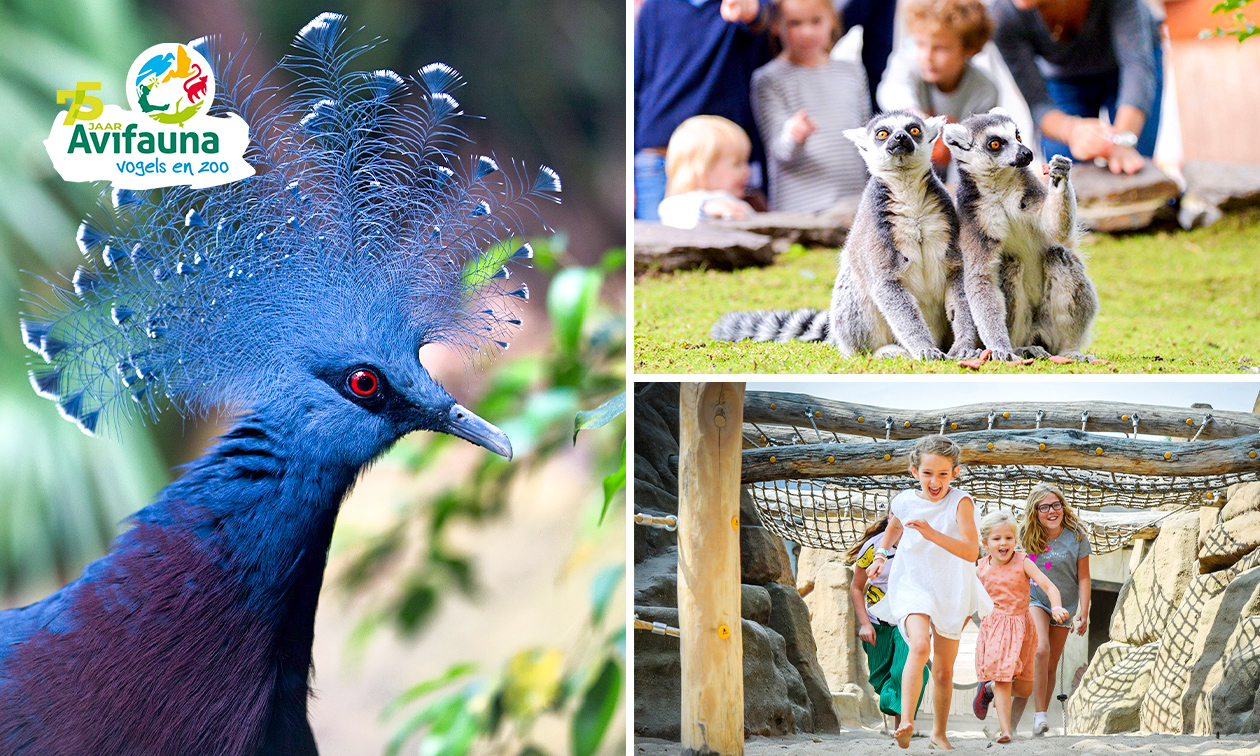 Avifauna