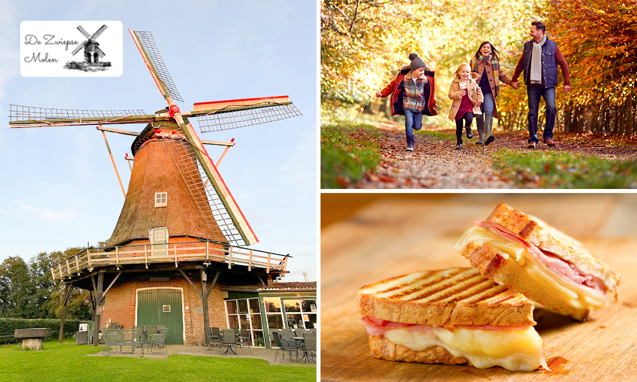 De Zwiepse Molen