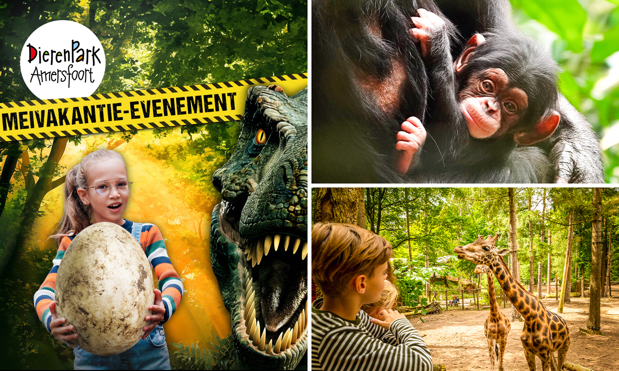 DierenPark Amersfoort