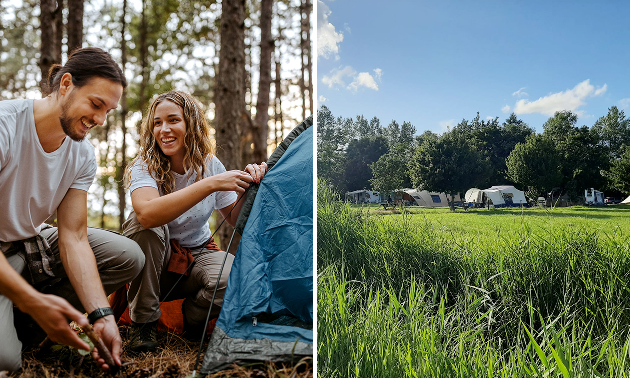 De Hammerslag