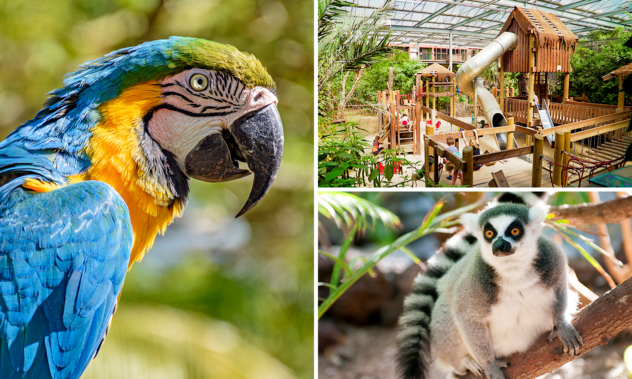 Papegaaienpark Zoo Veldhoven