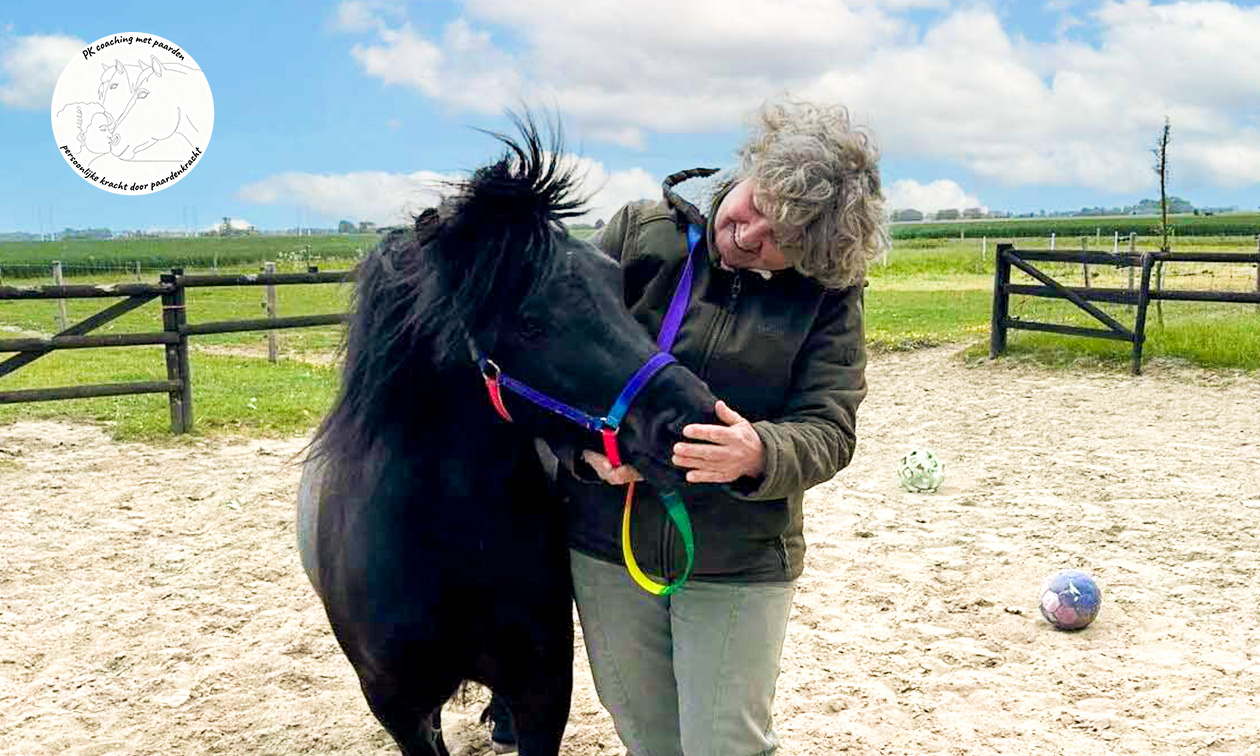 PK coaching met paarden