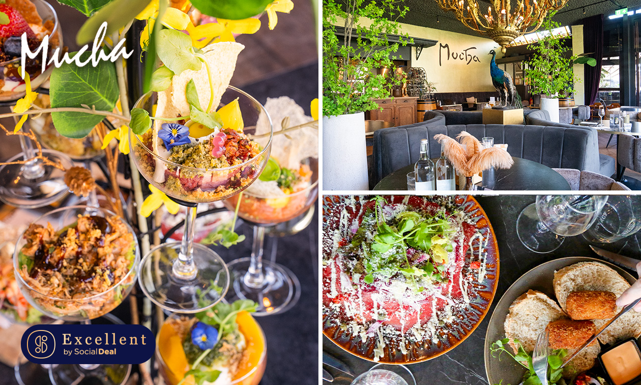 Restaurant Mucha