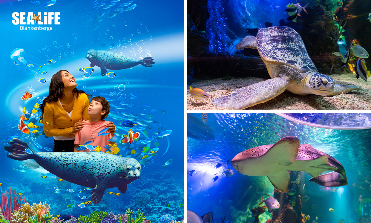 SEA LIFE Blankenberge