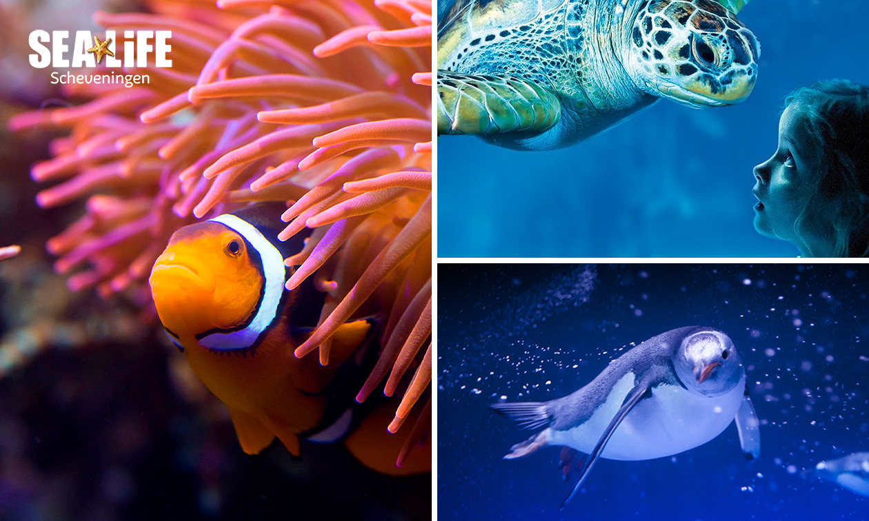 SEA LIFE Scheveningen