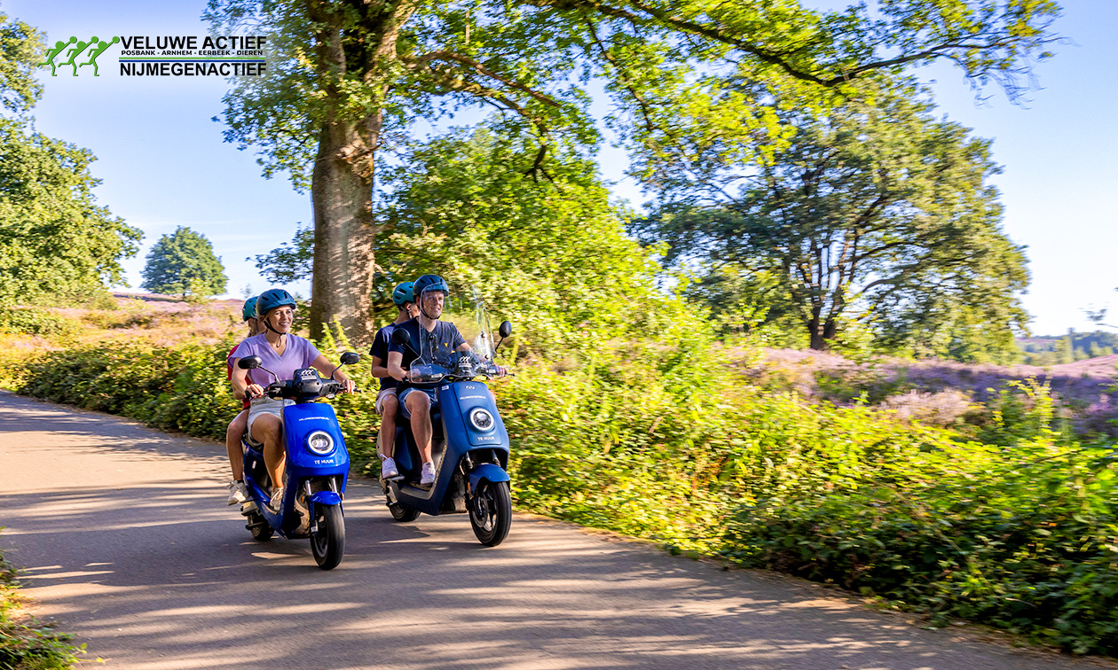 Veluwe Actief