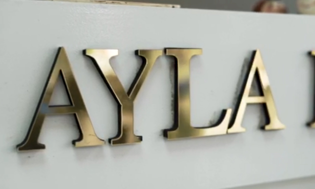 Ayla Clinic