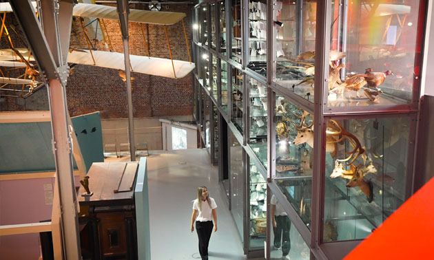 De Museumfabriek