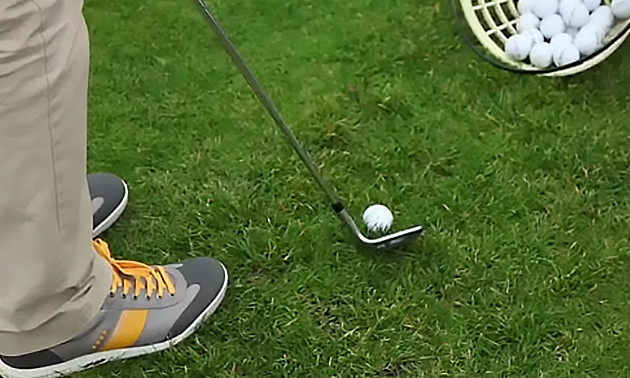 Golfles Nederland